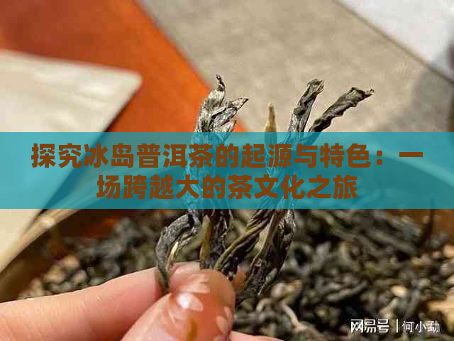 探究冰岛普洱茶的起源与特色：一场跨越大的茶文化之旅