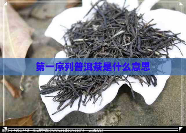 之一序列普洱茶是什么意思