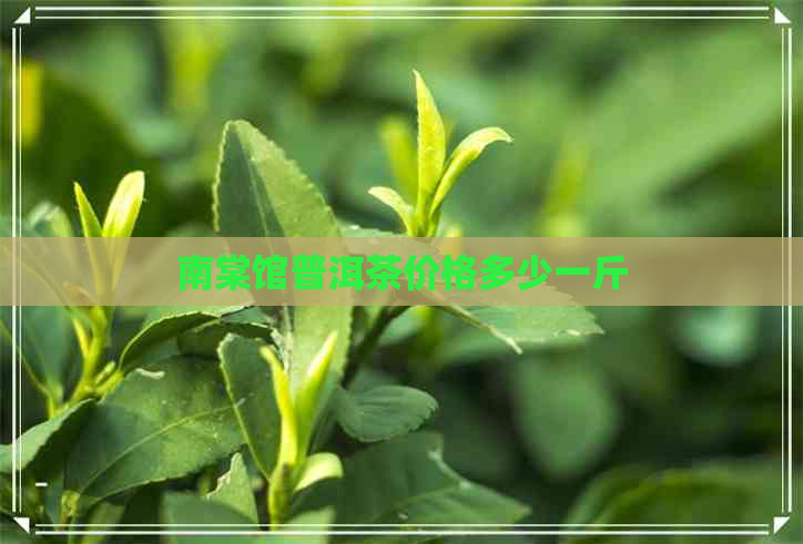 南棠馆普洱茶价格多少一斤