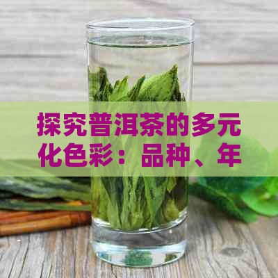 探究普洱茶的多元化色彩：品种、年份与发酵程度的影响