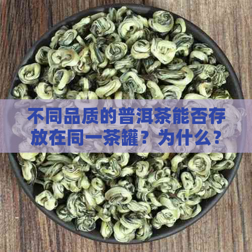 不同品质的普洱茶能否存放在同一茶罐？为什么？请简述原因。