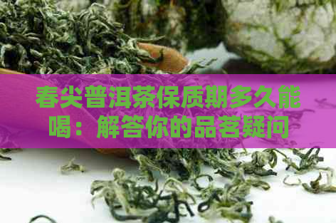 春尖普洱茶保质期多久能喝：解答你的品茗疑问