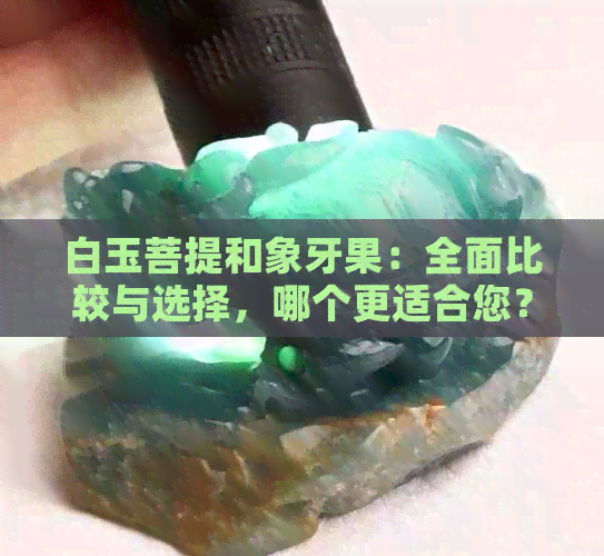 白玉菩提和象牙果：全面比较与选择，哪个更适合您？