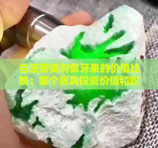 白玉菩提与象牙果的价值比较：哪个更具投资价值和收藏价值？