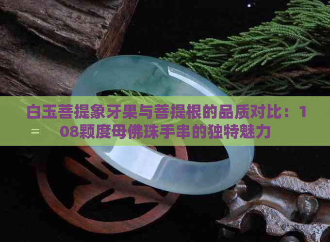 白玉菩提象牙果与菩提根的品质对比：108颗度母佛珠手串的独特魅力