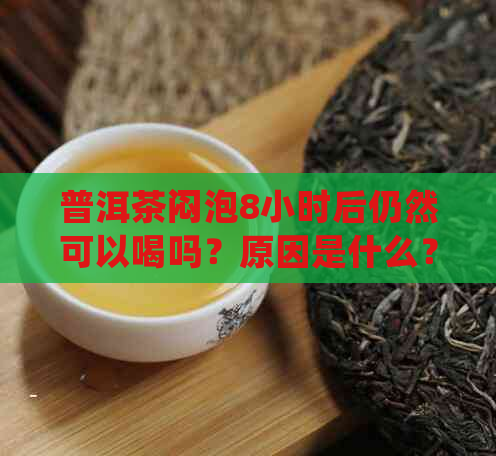 普洱茶闷泡8小时后仍然可以喝吗？原因是什么？如何正确保存和冲泡普洱茶？