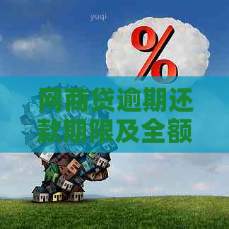 网商贷逾期还款期限及全额还清条件详解，帮助您避免逾期困扰