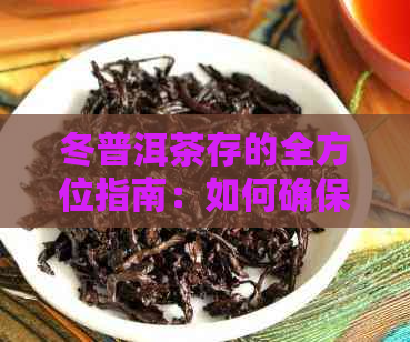 冬普洱茶存的全方位指南：如何确保茶叶品质和口感？