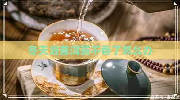 冬天泡普洱茶不香了怎么办