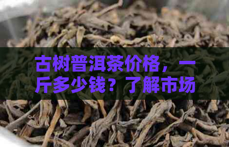 古树普洱茶价格，一斤多少钱？了解市场行情与品质差异