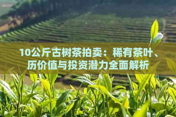 10公斤古树茶拍卖：稀有茶叶、历价值与投资潜力全面解析