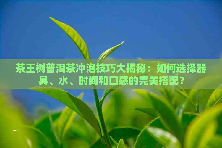 茶王树普洱茶冲泡技巧大揭秘：如何选择器具、水、时间和口感的完美搭配？