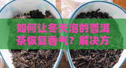 如何让冬天泡的普洱茶恢复香气？解决方法全解析