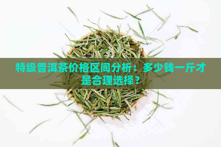 特级普洱茶价格区间分析：多少钱一斤才是合理选择？