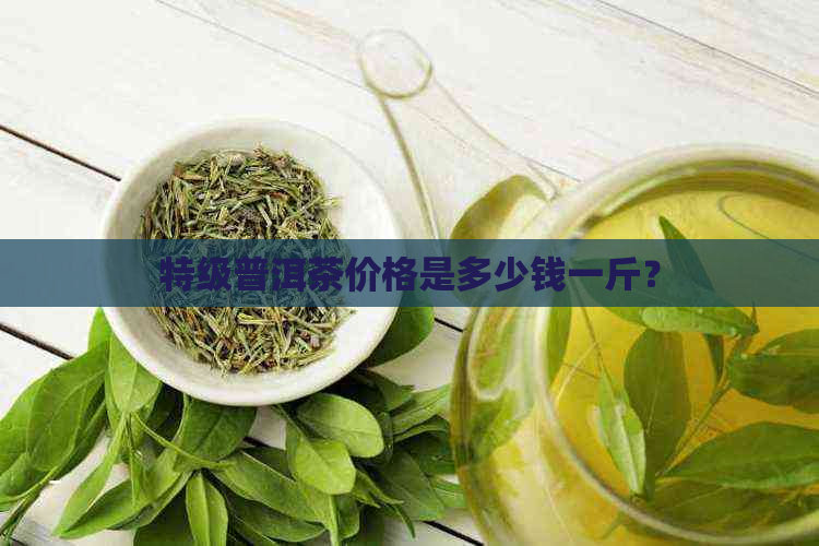 特级普洱茶价格是多少钱一斤？