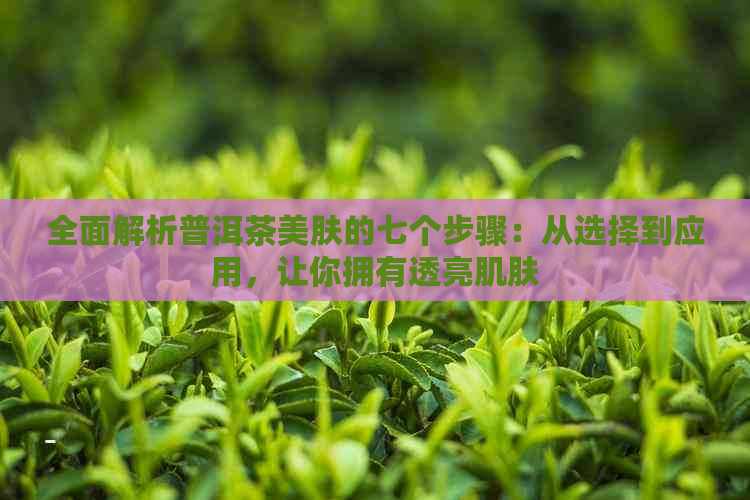 全面解析普洱茶美肤的七个步骤：从选择到应用，让你拥有透亮肌肤