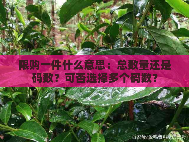 限购一件什么意思：总数量还是码数？可否选择多个码数？