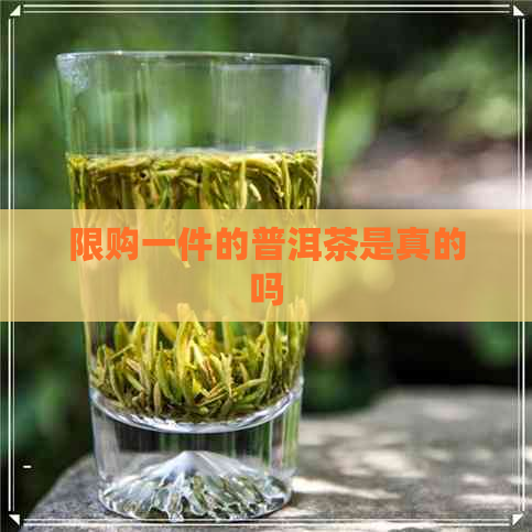 限购一件的普洱茶是真的吗