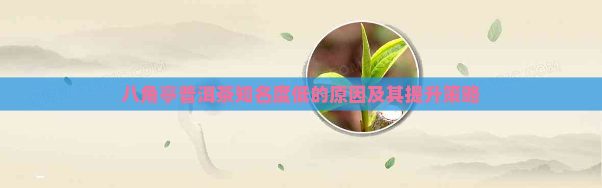 八角亭普洱茶知名度低的原因及其提升策略