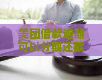 美团借款逾期可以分期还款吗？如何操作？