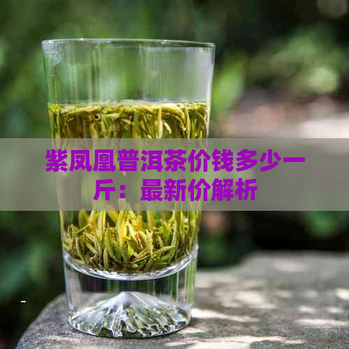 紫凤凰普洱茶价钱多少一斤：最新价解析