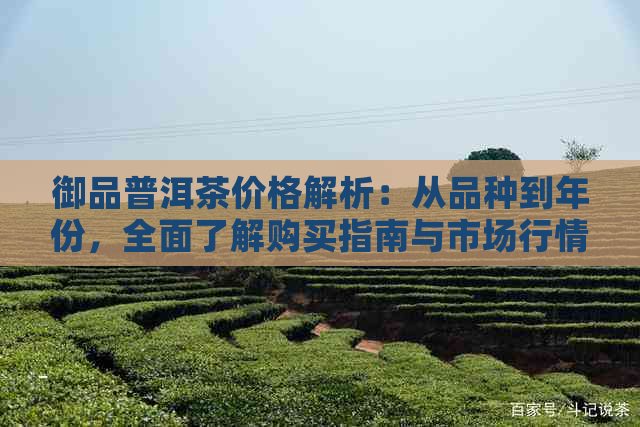 御品普洱茶价格解析：从品种到年份，全面了解购买指南与市场行情