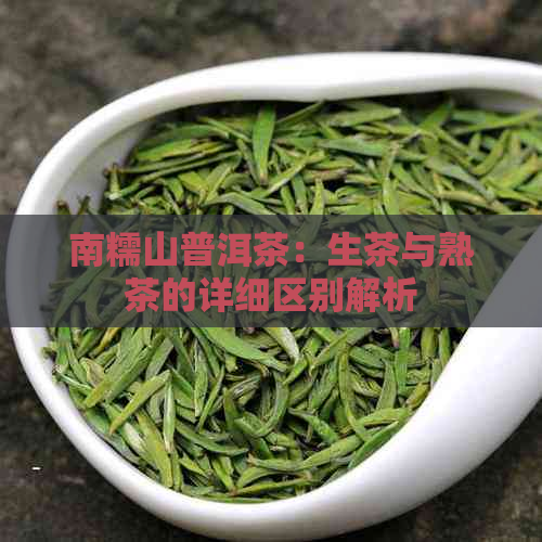 南糯山普洱茶：生茶与熟茶的详细区别解析