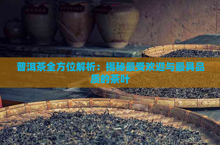 普洱茶全方位解析：揭秘更受欢迎与更具品质的茶叶