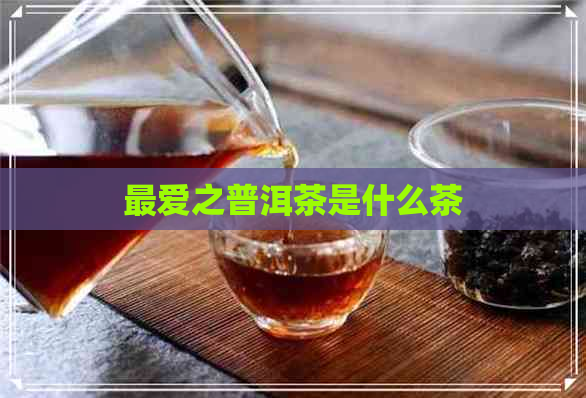 更爱之普洱茶是什么茶