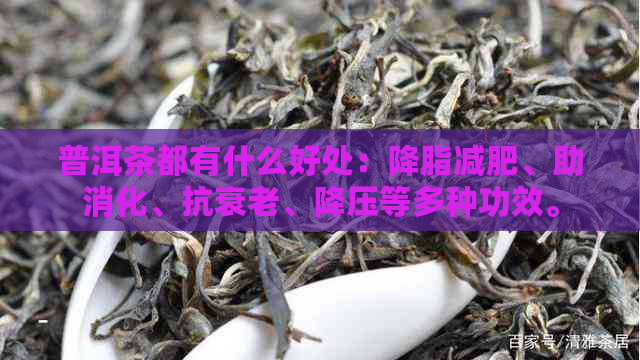 普洱茶都有什么好处：降脂减肥、助消化、抗衰老、降压等多种功效。