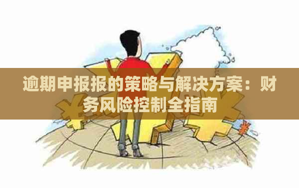 逾期申报报的策略与解决方案：财务风险控制全指南