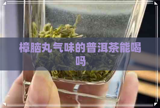 樟脑丸气味的普洱茶能喝吗