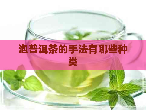 泡普洱茶的手法有哪些种类