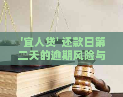  '宜人贷' 还款日第二天的逾期风险与解决策略 