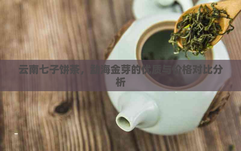 云南七子饼茶，勐海金芽的优质与价格对比分析