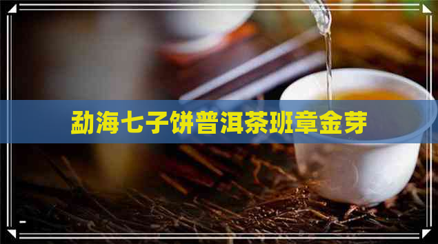 勐海七子饼普洱茶班章金芽