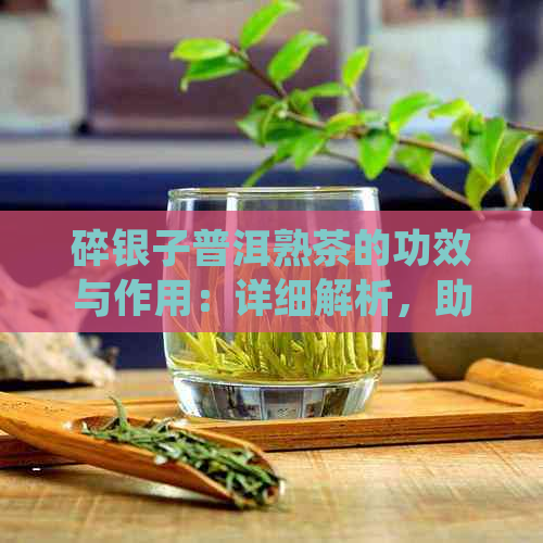 碎银子普洱熟茶的功效与作用：详细解析，助您全面了解它的健益处