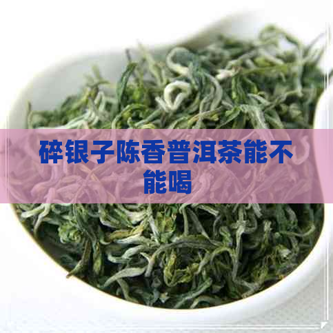 碎银子陈香普洱茶能不能喝