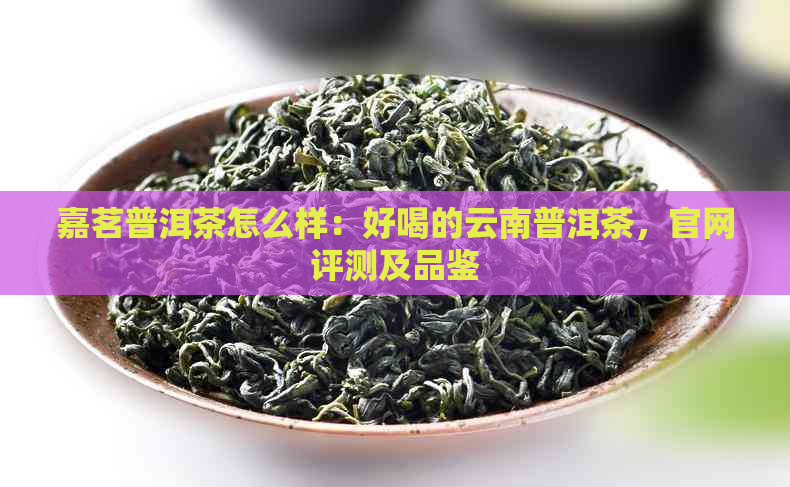 嘉茗普洱茶怎么样：好喝的云南普洱茶，官网评测及品鉴