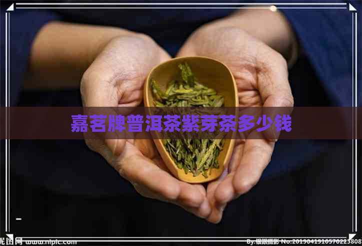 嘉茗牌普洱茶紫芽茶多少钱