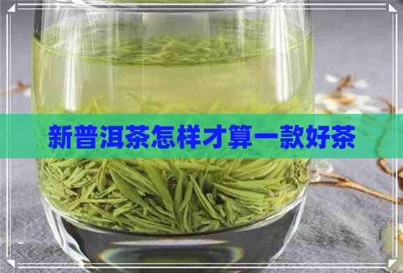 新普洱茶怎样才算一款好茶