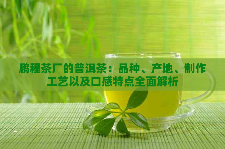 鹏程茶厂的普洱茶：品种、产地、制作工艺以及口感特点全面解析