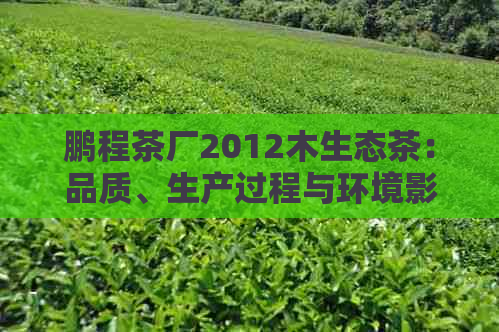 鹏程茶厂2012木生态茶：品质、生产过程与环境影响的全面解析