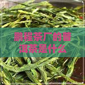 鹏程茶厂的普洱茶是什么茶