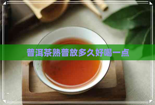 普洱茶熟普放多久好喝一点