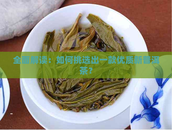 全面解读：如何挑选出一款优质新普洱茶？