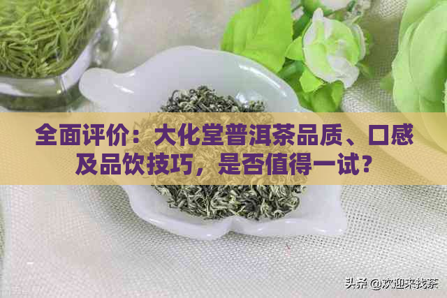 全面评价：大化堂普洱茶品质、口感及品饮技巧，是否值得一试？