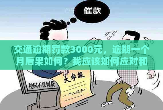 交通逾期罚款3000元，逾期一个月后果如何？我应该如何应对和解决？