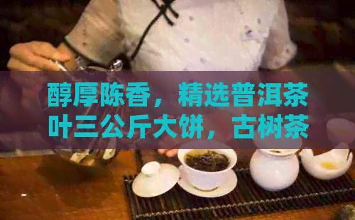 醇厚陈香，精选普洱茶叶三公斤大饼，古树茶韵，品鉴尊贵茶礼