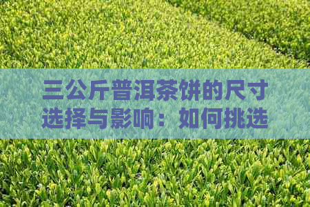 三公斤普洱茶饼的尺寸选择与影响：如何挑选合适的普洱茶饼？